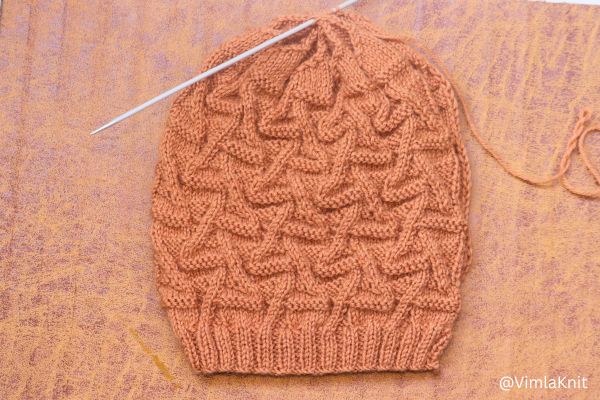 Knitted Brain Hat Crown Design View