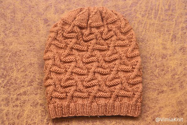 Unisex Brain Hat Knitting Image